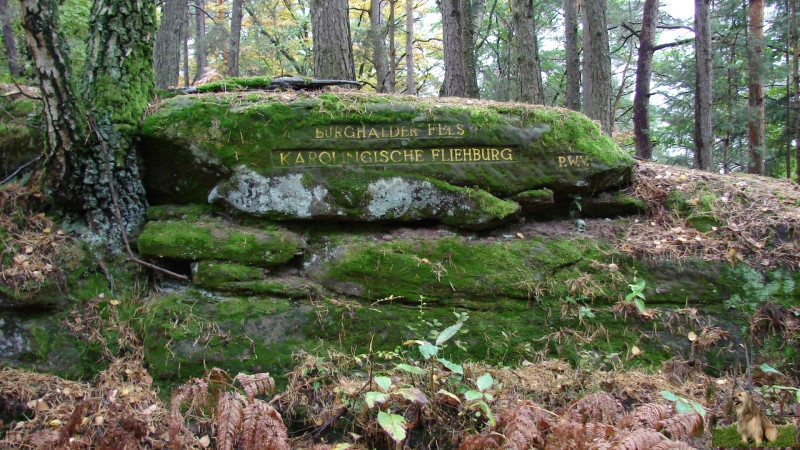 Ritterstein Nr. 219-2 Burghalder Fels - Karolingische Fliehburg.JPG - Ritterstein Nr.219 Burghalder Fels - Karolingische Fliehburg